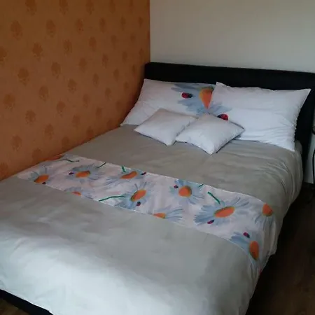公寓 Apartman Jelena